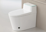 Smart Toilet with Bidet and Heated Seat — What Homeowners Need to Know Before Buying