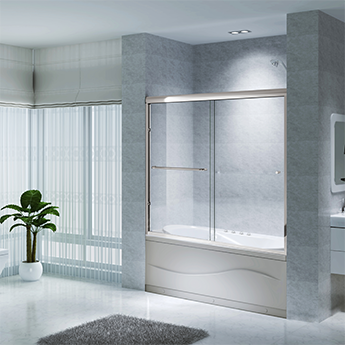 Shower Door